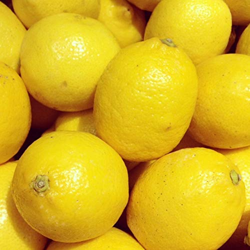 Sharbati Lemon F1 Quality Seeds (pack of 10 seeds)