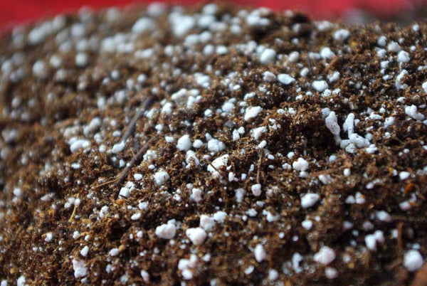 Ready To Use Soil Mix Containing Coco Peat Perlite Vermiculite Expanded Clay Balls And Neem Powder  Multi Purpose Soil Mix Suitable For All Plants 5 kg