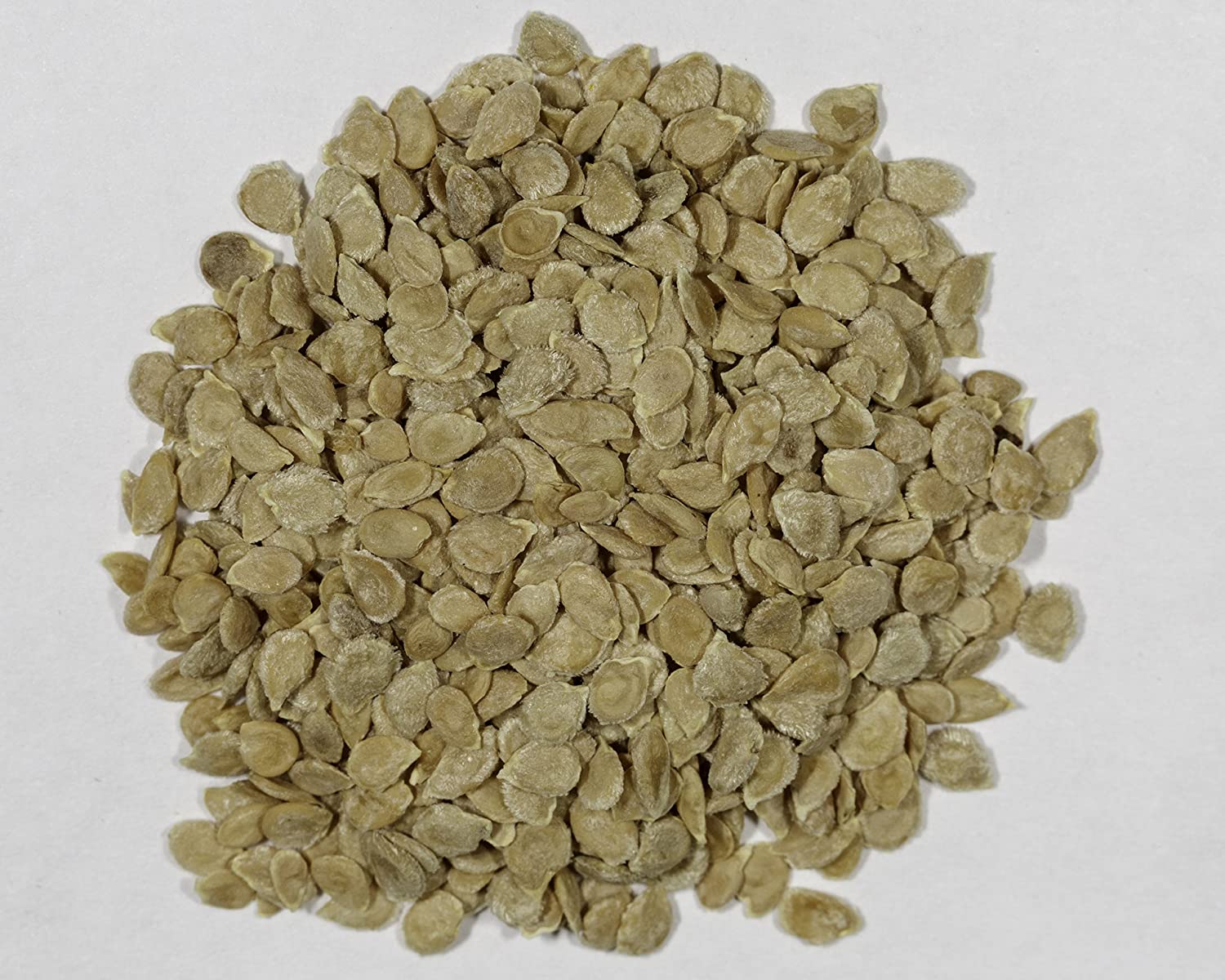 Green Paradise® Desi Tomato Seeds