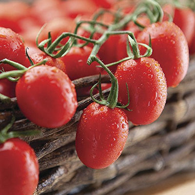 Green Paradise® Desi Tomato Seeds