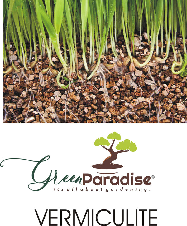 Green Paradise Hi Quality Vermiculite for Potting Media 0-5mm Size granules (3 kg Pack)