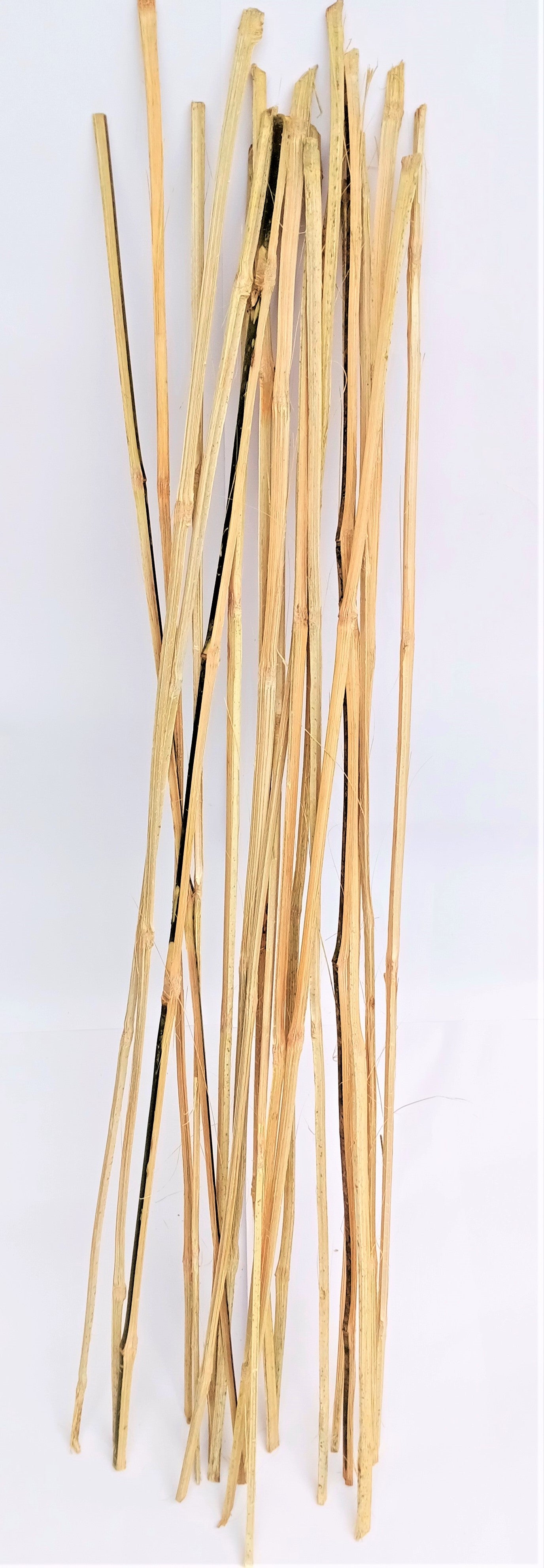 Bamboo Sticks for Plants Support (Set of 20) Sticks Size 3ft Used to Support Climbers Money Plant & Other Saplings
