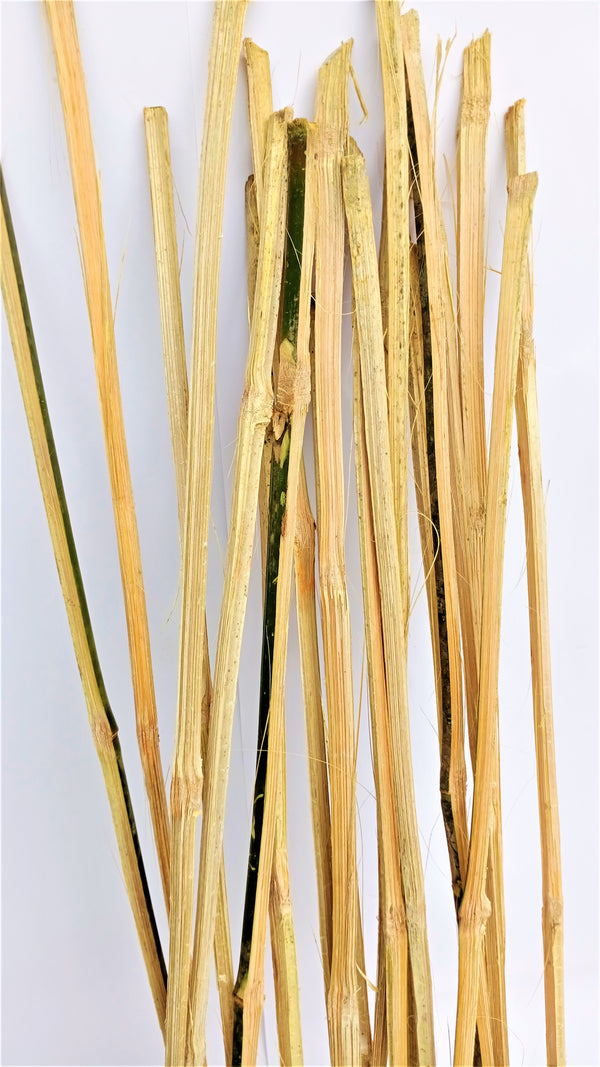 Bamboo Sticks for Plants Support (Set of 20) Sticks Size 3ft Used to Support Climbers Money Plant & Other Saplings