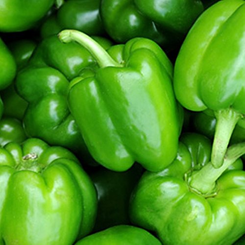 Green Paradise® Bell Pepper Seeds