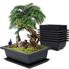 Bonsai Pots rectangle 30 cm (L) x 21 cm (W) x 10 cm(H) (Black) (Pack of 5) ideal for Training bonsai trees creating succulent cactus mini gardens adeniums