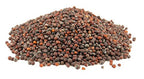 Green Paradise® Broccoli Seeds