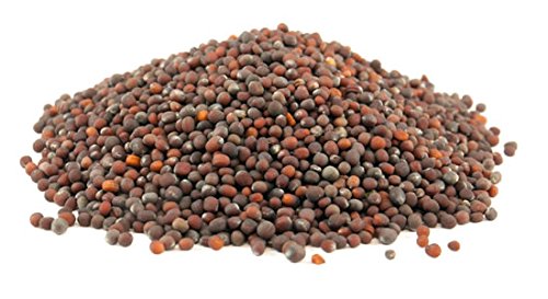 Green Paradise® Broccoli Seeds