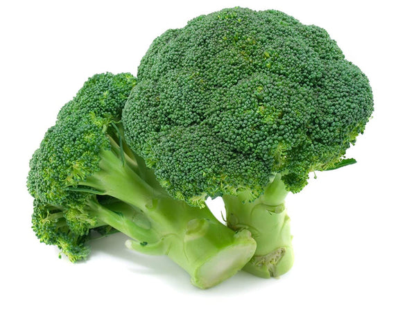 Green Paradise® Broccoli Seeds