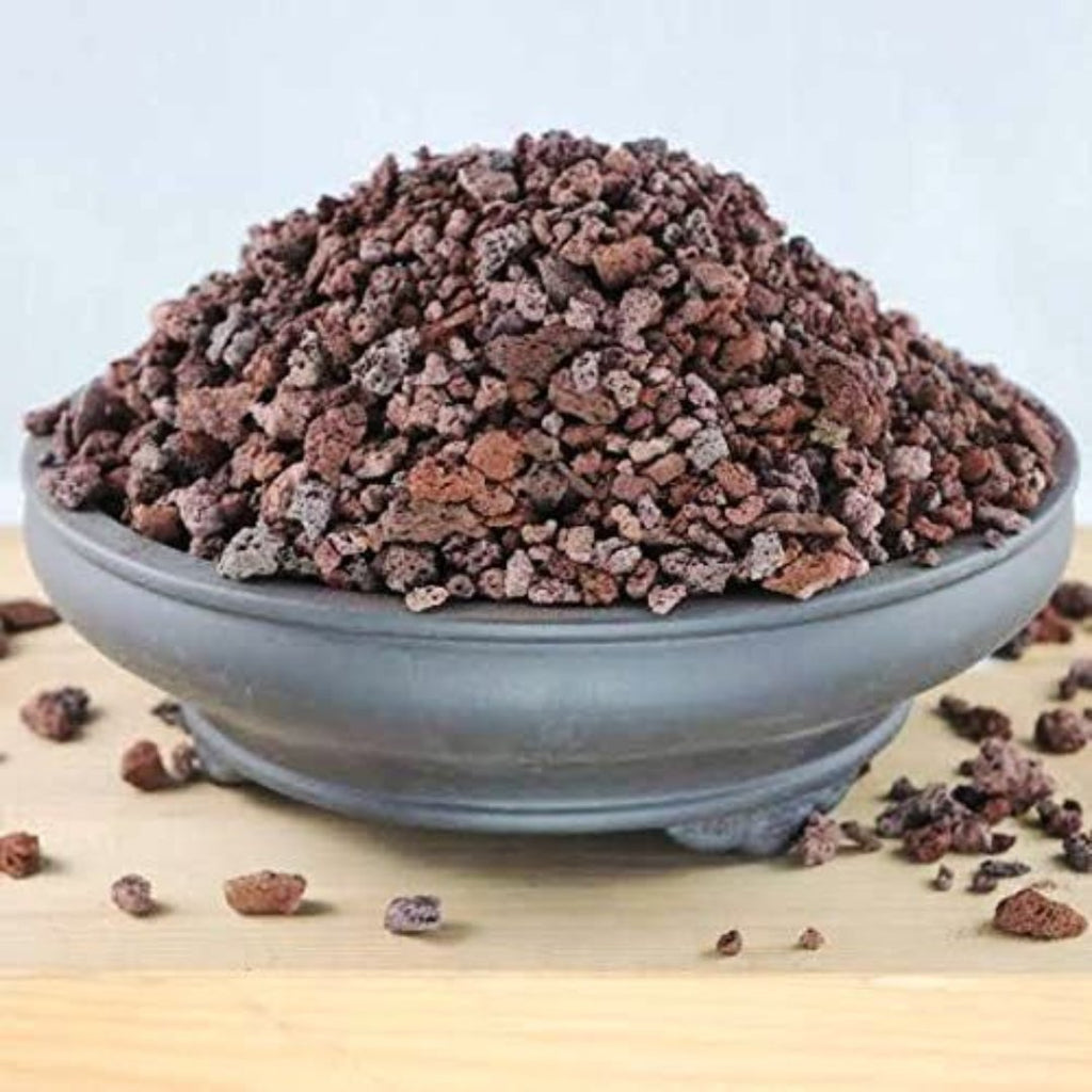 Green Paradise Porous Rocks For Soilmix In Bonsai,Succulents And Adenium Plants 3kg Package