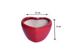 Green Paradise® Heart Shape Glossy Ceramic Pot Glossy Planter