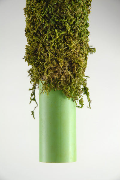 Moss Stick for Indoor, House and Plant Creepers Support (Brown, 3 Ft) 2 Pieces