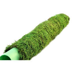 Moss Stick for Indoor, House and Plant Creepers Support (Brown, 3 Ft) 2 Pieces