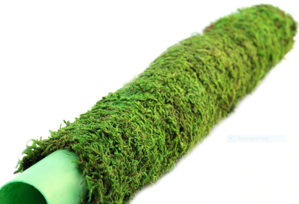 Moss and Coir Stick Plant Support (120 cm/4ft, Brown)-2 Pieces