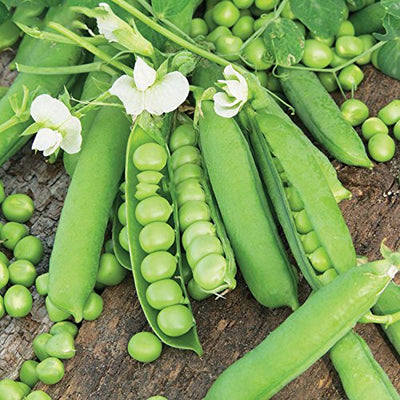 Green Paradise® Peas Seeds