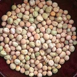 Green Paradise® Peas Seeds