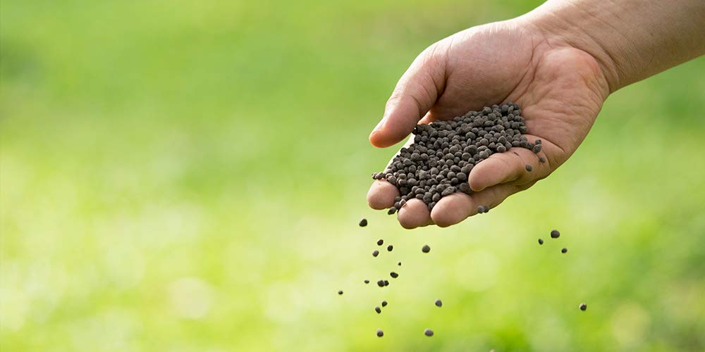Green Paradise WellGrower Super Prom Organic Fertilizer Granule