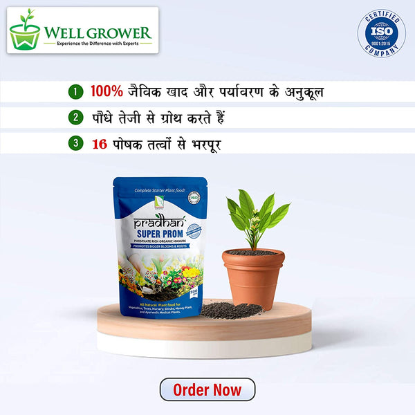 Green Paradise WellGrower Super Prom Organic Fertilizer Granule